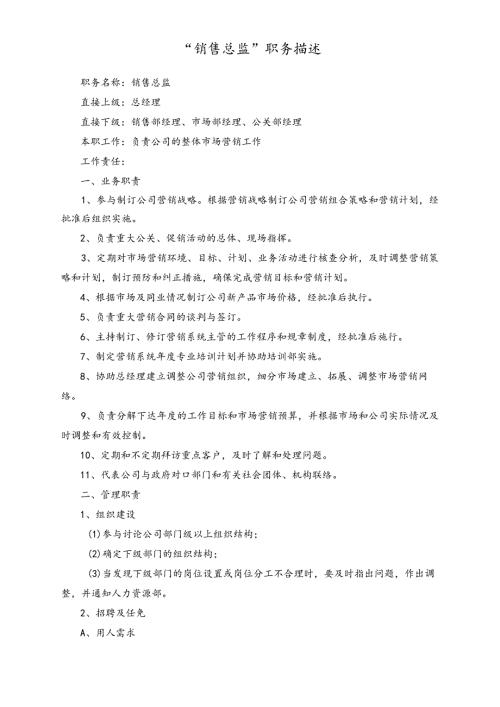 企业“销售总监”职务描述.docx