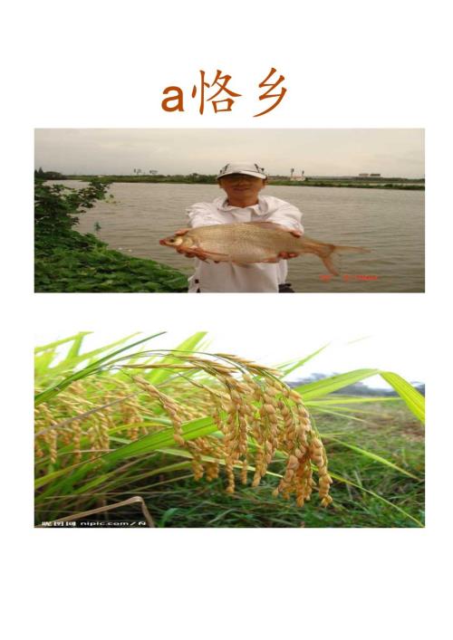 小学一年级校本课程教材.docx