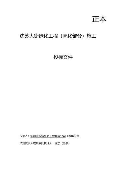 沈苏大街亮化投标文件.docx