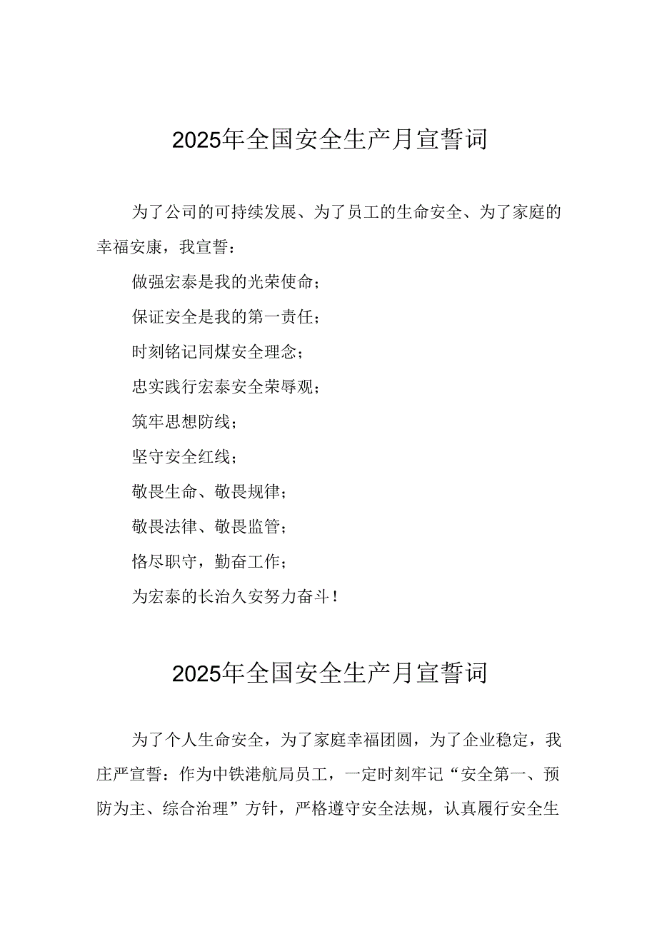 2025年全国《安全生产月》个人宣誓词 汇编7份.docx_第2页