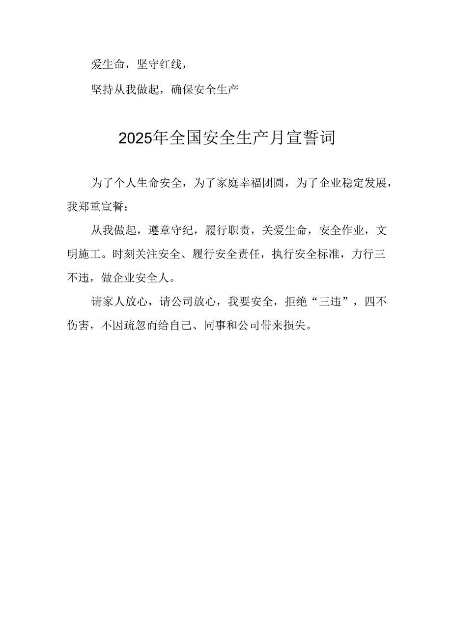 2025年《安全生产月》个人宣誓词 （3份）_56.docx_第2页