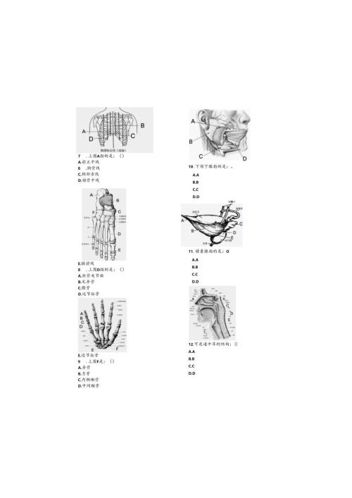 《解剖学》试卷.docx
